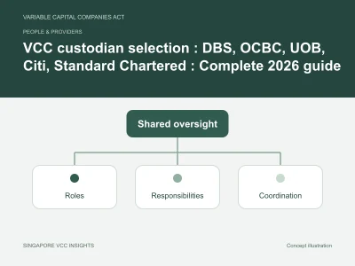 People & providers illustration for VCC custodian selection : DBS, OCBC, UOB, Citi, Standard Chartered