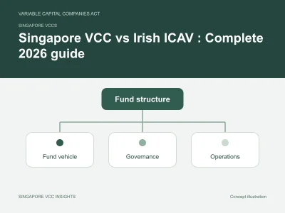 Singapore VCCs illustration for Singapore VCC vs Irish ICAV