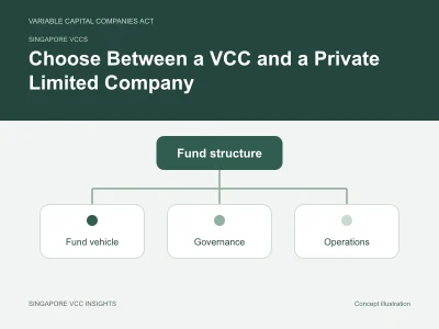 Singapore VCCs illustration for Choose Between a VCC and a Private Limited Company