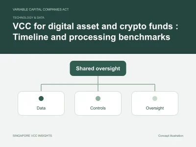 Technology & data illustration for VCC for digital asset and crypto funds : Timeline and processing benchmarks