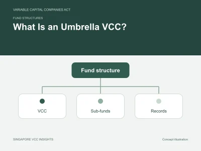 Fund structures illustration for What Is an Umbrella VCC?