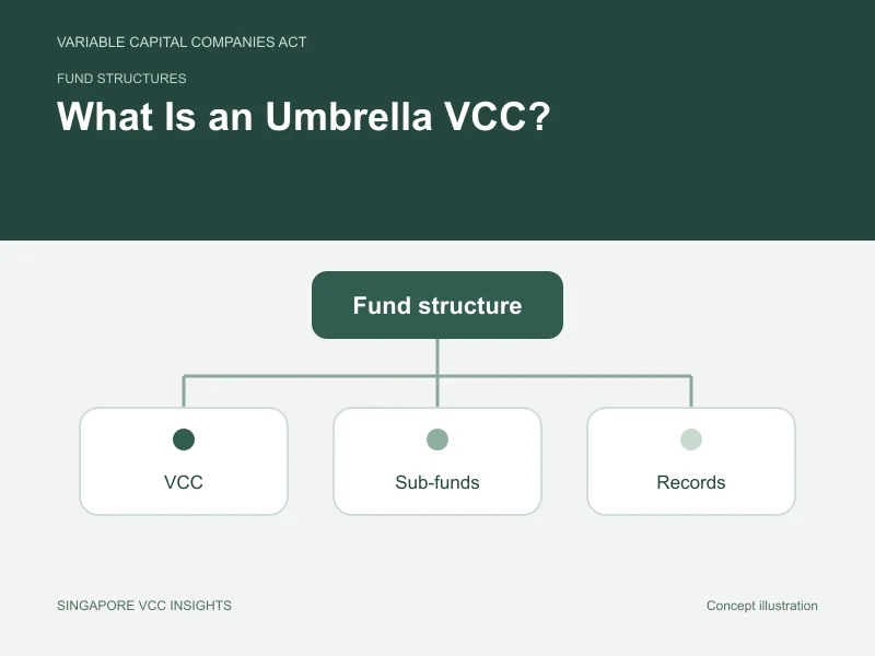 Fund structures illustration for What Is an Umbrella VCC?