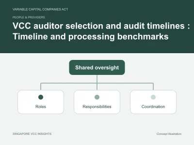 People & providers illustration for VCC auditor selection and audit timelines : Timeline and processing benchmarks