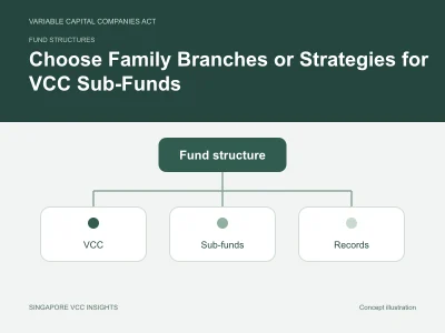 Fund structures illustration for Choose Family Branches or Strategies for VCC Sub-Funds