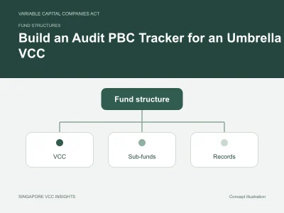 Fund structures illustration for Build an Audit PBC Tracker for an Umbrella VCC