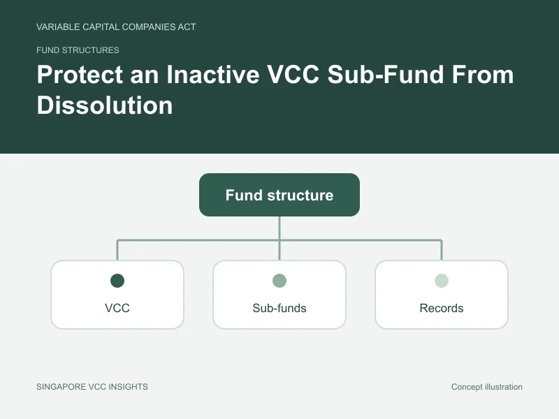 Fund structures illustration for Protect an Inactive VCC Sub-Fund From Dissolution