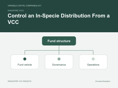 Singapore VCCs illustration for Control an In-Specie Distribution From a VCC