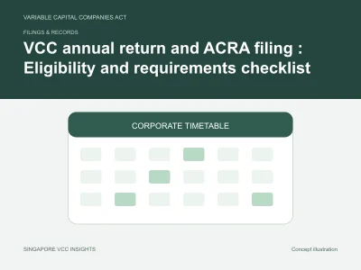 Filings & records illustration for VCC annual return and ACRA filing