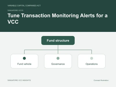 Singapore VCCs illustration for Tune Transaction Monitoring Alerts for a VCC