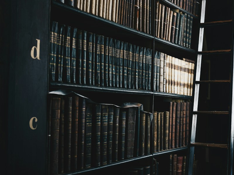 Rows of leather-bound law volumes on dark wooden library shelves beside a ladder